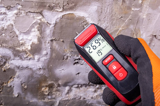 Best Mold Removal and Inspection  in Mattituck, NY