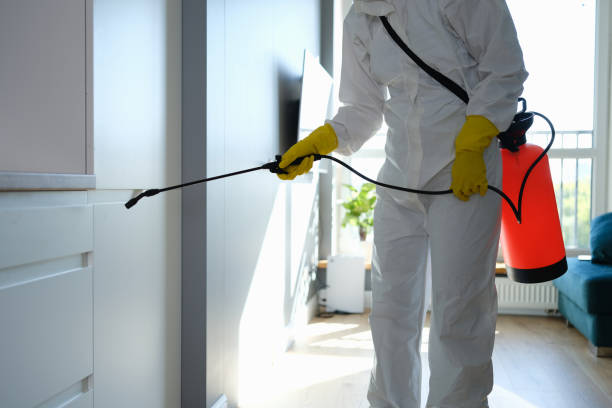 Best Commercial Mold Removal  in Mattituck, NY